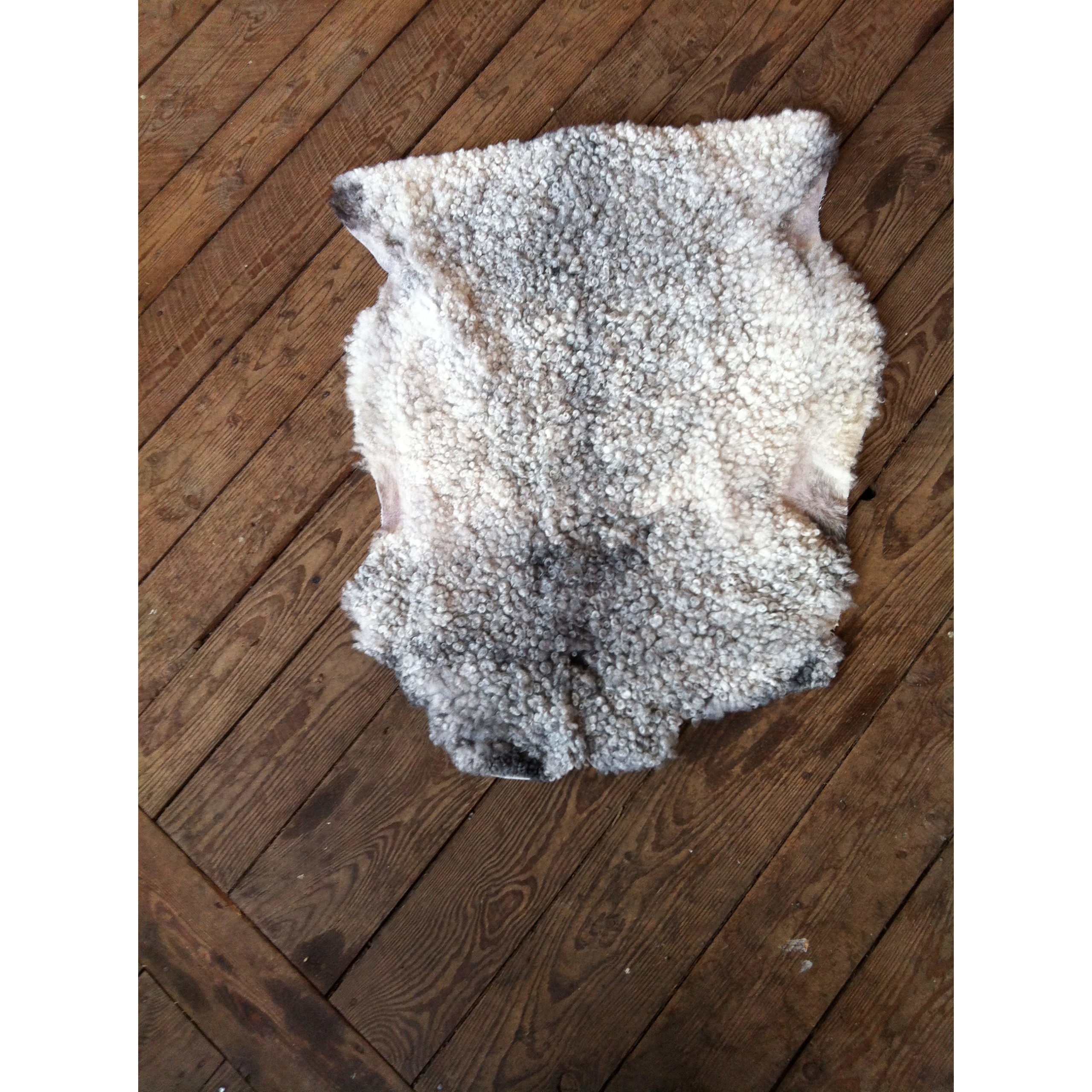 Fårskinn från ekologiska natursköna Helenelust